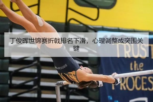 ding-jun-hui-shi-jin-sai-zhe-ji-pai-ming-xia-hua-xin-li-tiao-zheng-cheng-tu-wei-guan-jian-2-532.jpg