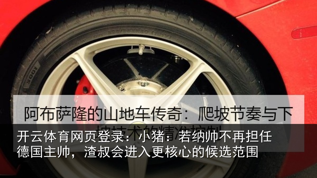 开云体育网页登录:小猪相关情况国主相关情况心的候选范围
