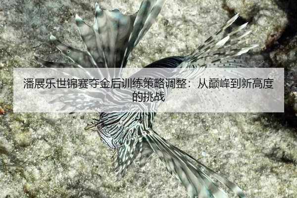 潘展乐世锦赛夺金后训练策略调整：从巅峰到新高度的挑战