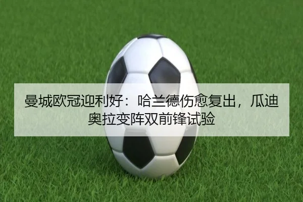 man-cheng-ou-guan-ying-li-hao-ha-lan-de-shang-yu-fu-chu-gua-di-ao-la-bian-zhen-shuang-qian-feng-shi-yan-3-206.jpg