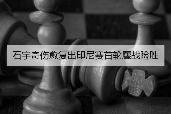 shi-yu-qi-shang-yu-fu-chu-yin-ni-sai-shou-lun-ao-zhan-xian-sheng-3-526.jpg