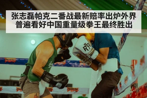张志磊帕克二番战最新赔率出炉外界普遍看好中国重量级拳王最终胜出